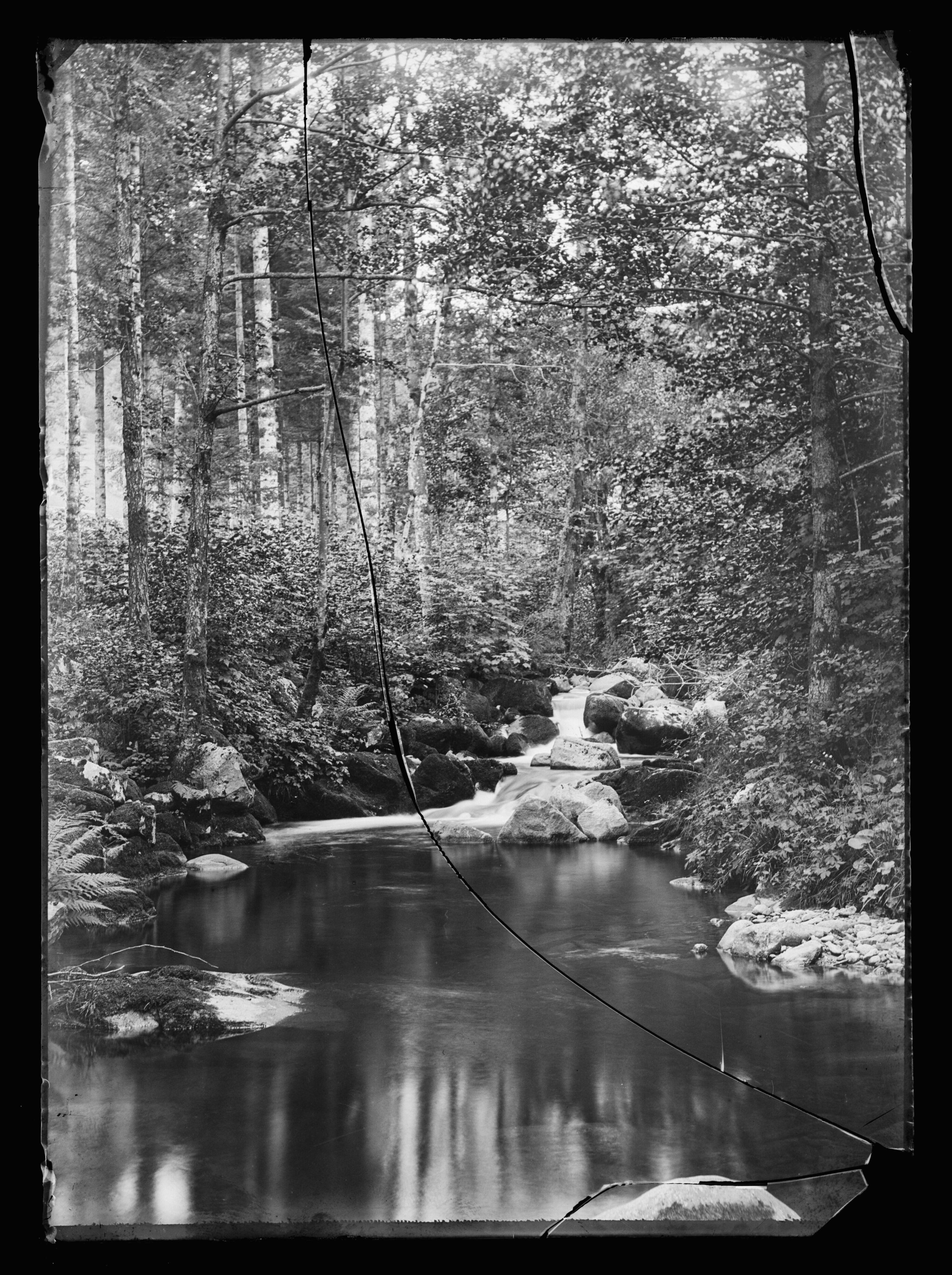 B884136201 W 002859 1