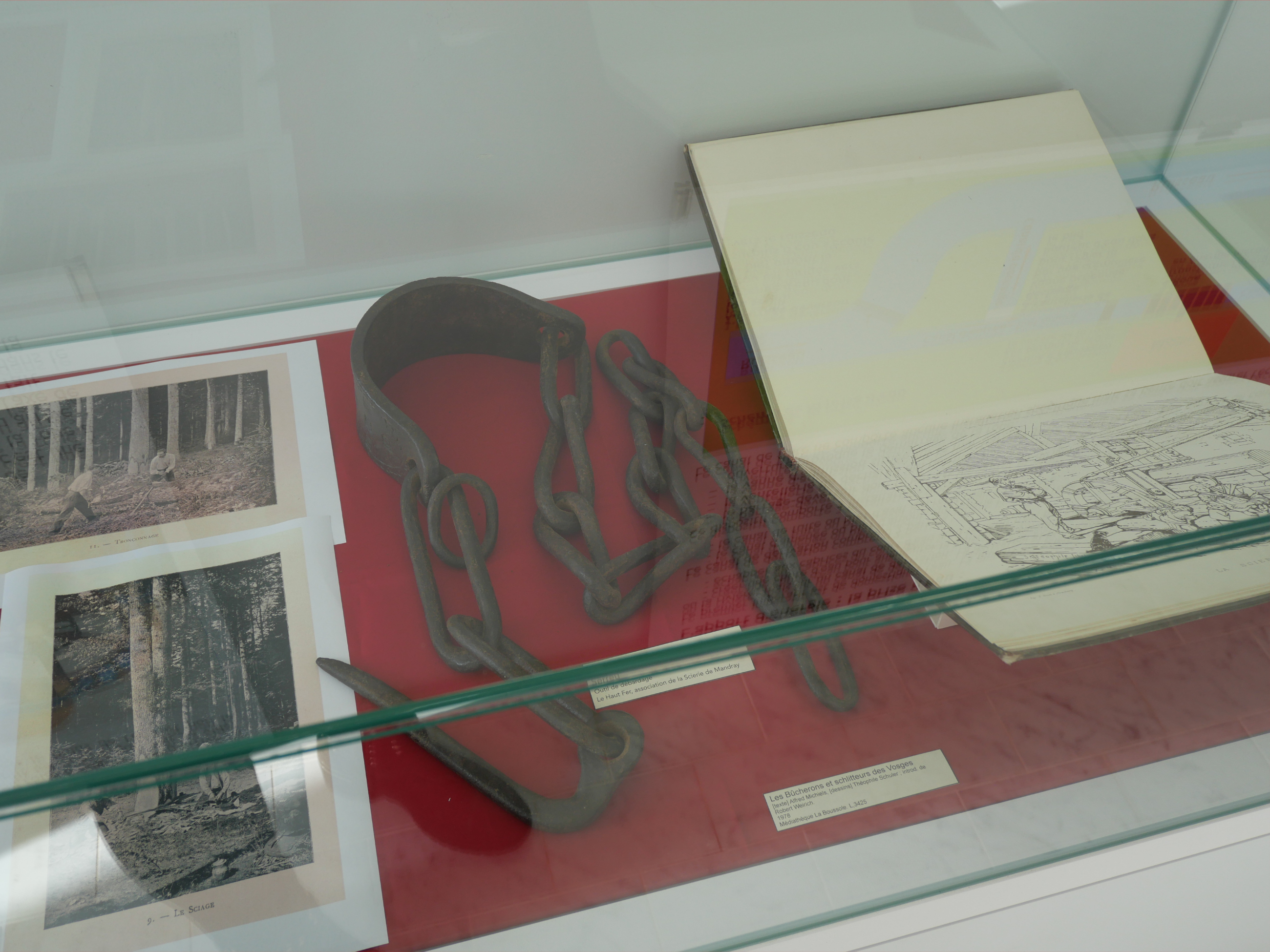Livres en vitrine